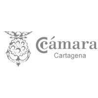 Logo organizador