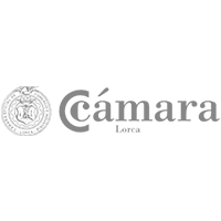 Logo organizador