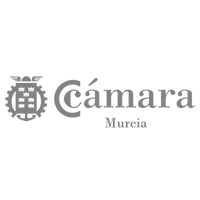 Logo organizador