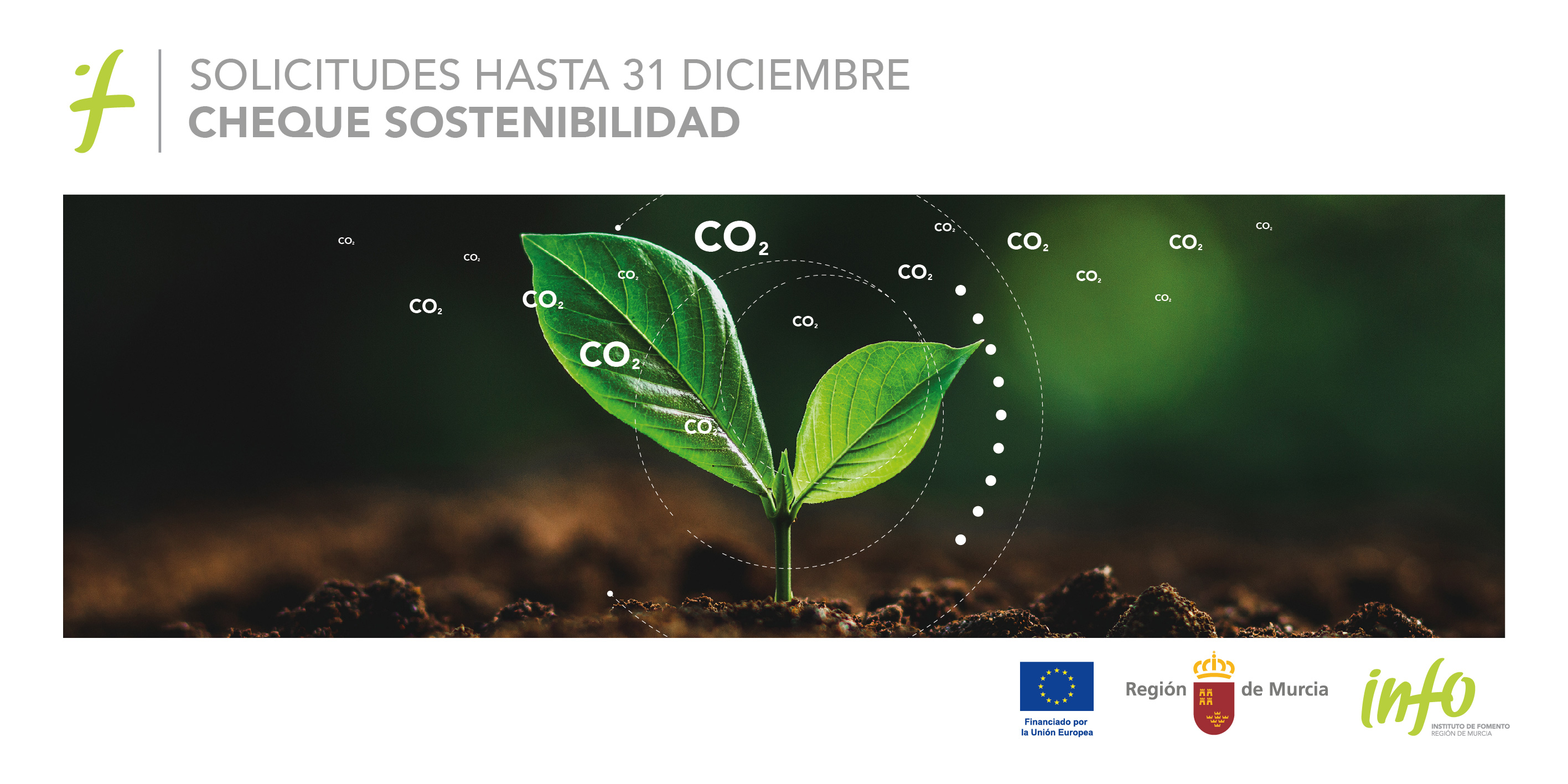 La Comunidad incentiva la sostenibilidad de las pymes regionales promoviendo la reducción de emisiones y mejoras en la gestión del agua