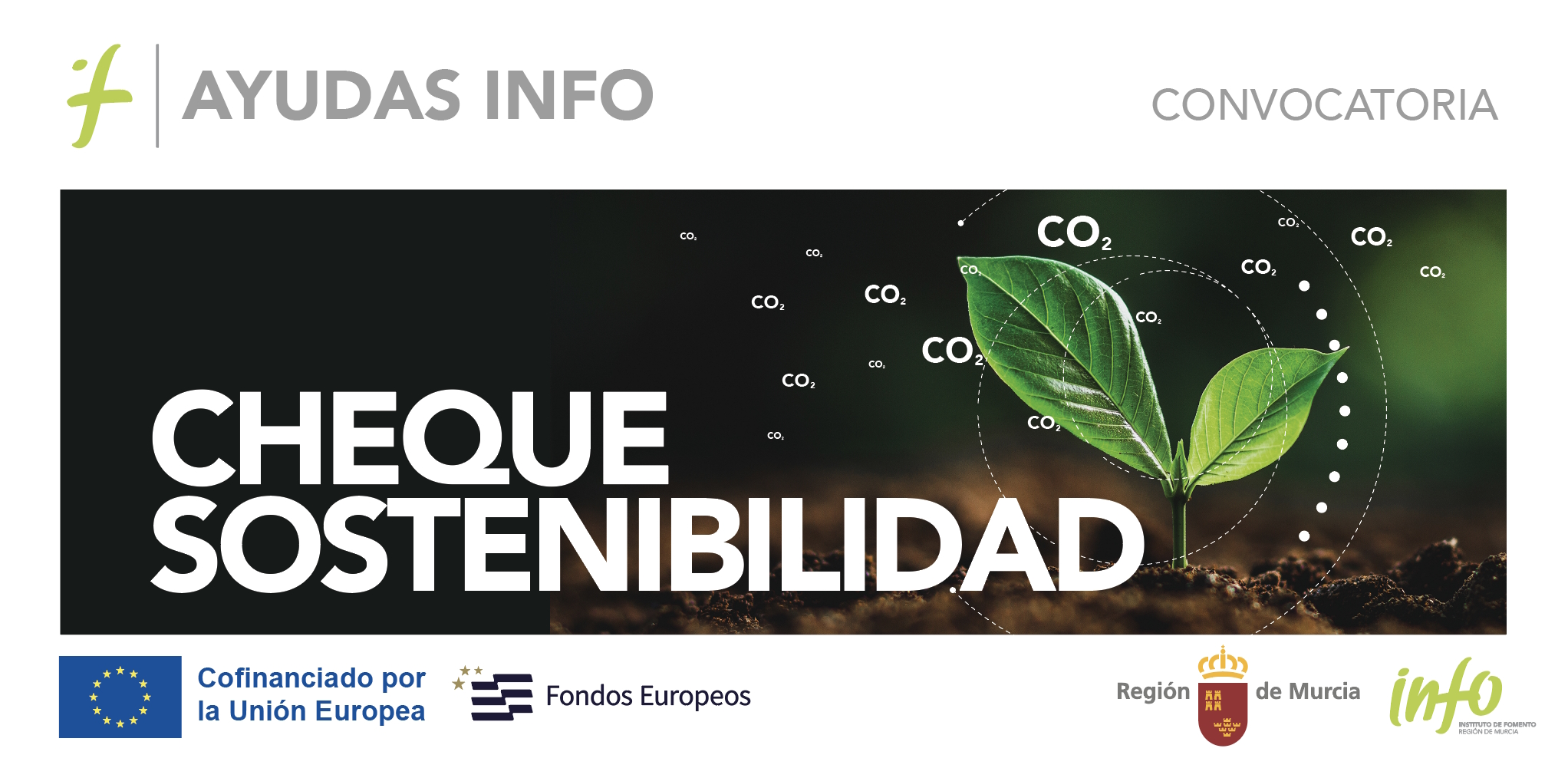 Abierta la convocatoria de ayudas para medir la huella ambiental y elaborar informes de sostenibilidad